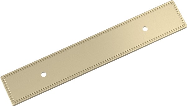 Golden Champagne Steel Backplate