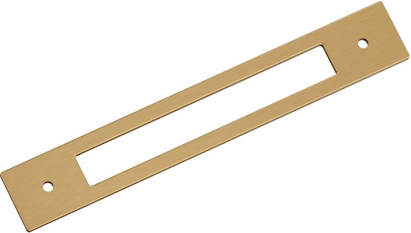 Champagne Bronze Steel Backplate