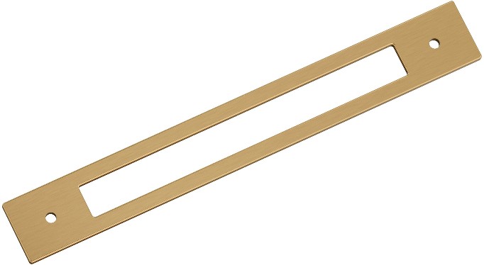 Champagne Bronze Steel Backplate