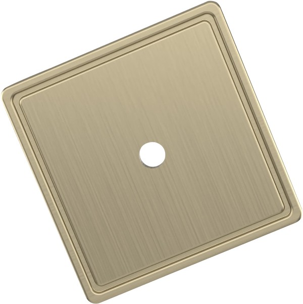 Golden Champagne Steel Backplate