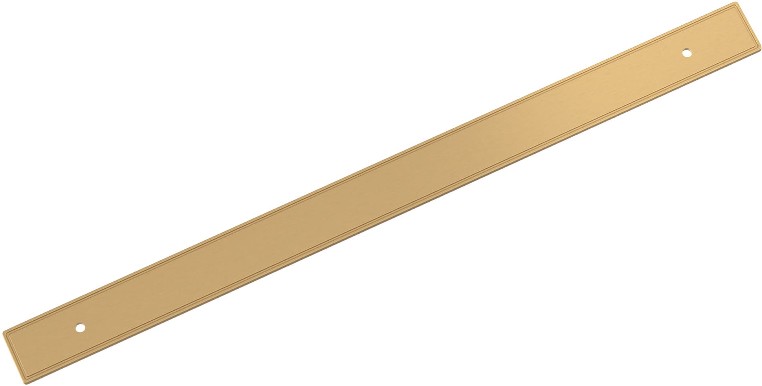 Champagne Bronze Steel Backplate