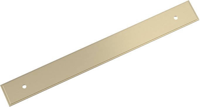 Golden Champagne Steel Backplate