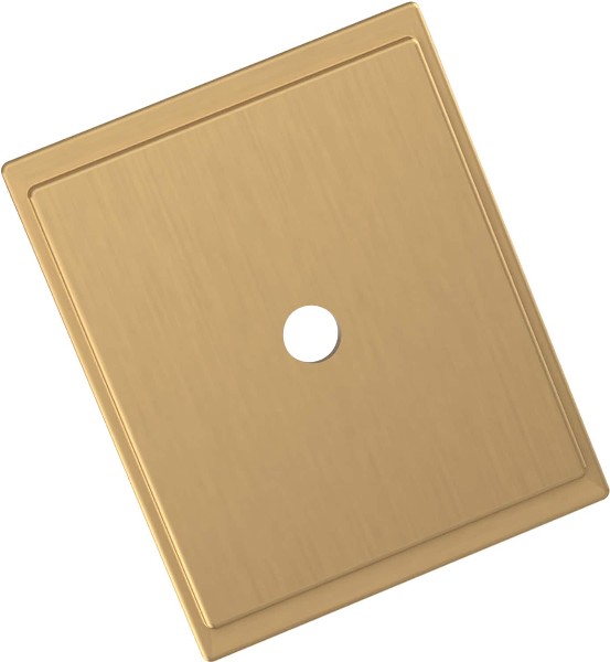 Champagne Bronze Steel Backplate