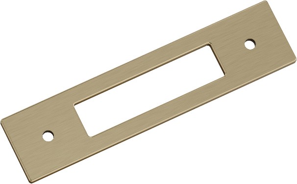 Golden Champagne Steel Backplate