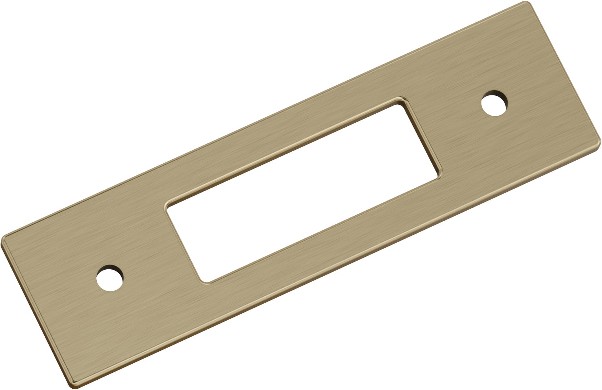 Golden Champagne Steel Backplate