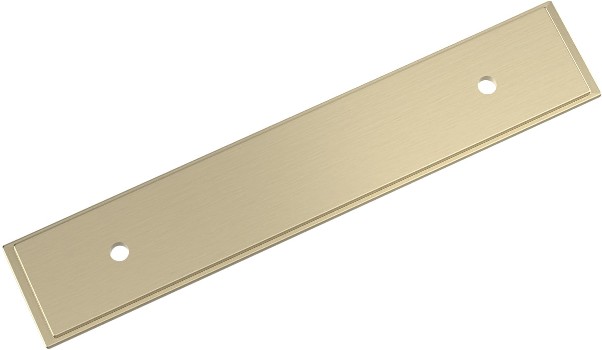 Golden Champagne Steel Backplate