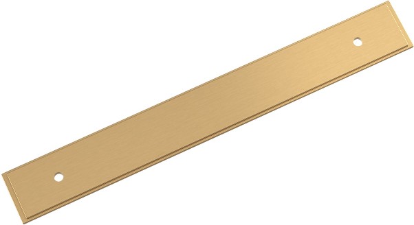 Champagne Bronze Steel Backplate