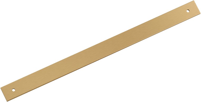 Champagne Bronze Steel Backplate