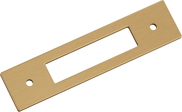 Champagne Bronze Steel Backplate