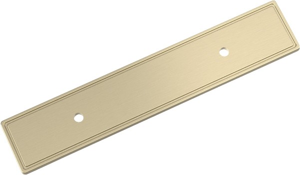 Golden Champagne Steel Backplate