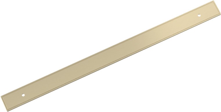 Golden Champagne Steel Backplate
