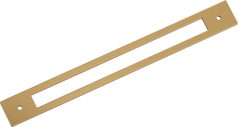 Champagne Bronze Steel Backplate