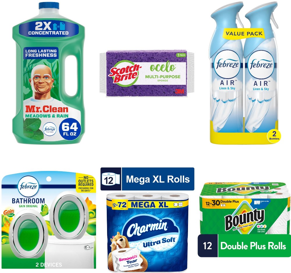 Toilet Room Cleanup & Freshness