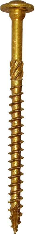 RSS 3/8-in x 6-in Polymer Exterior Wood screws ( 50 -Per Box )