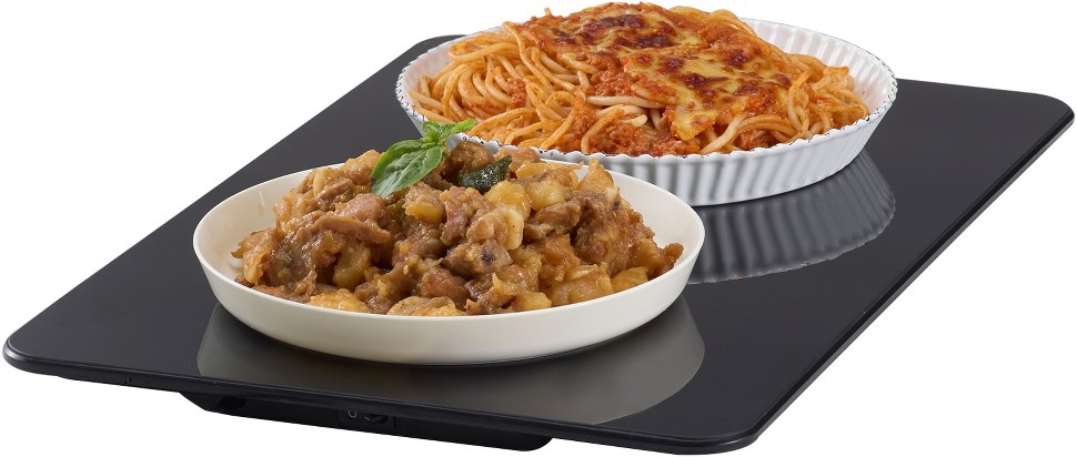 2 Station Commercial/Residential Electric Warming tray