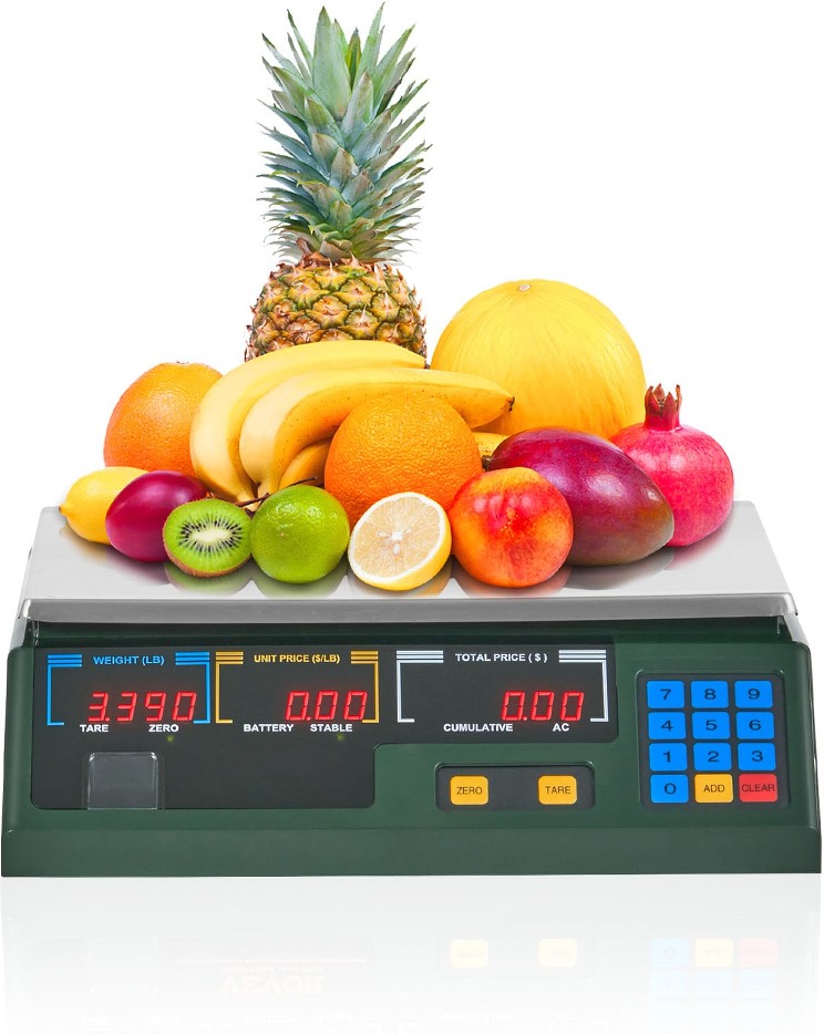 Electronic Price Computing Scale 66 LB Digital Deli Weight