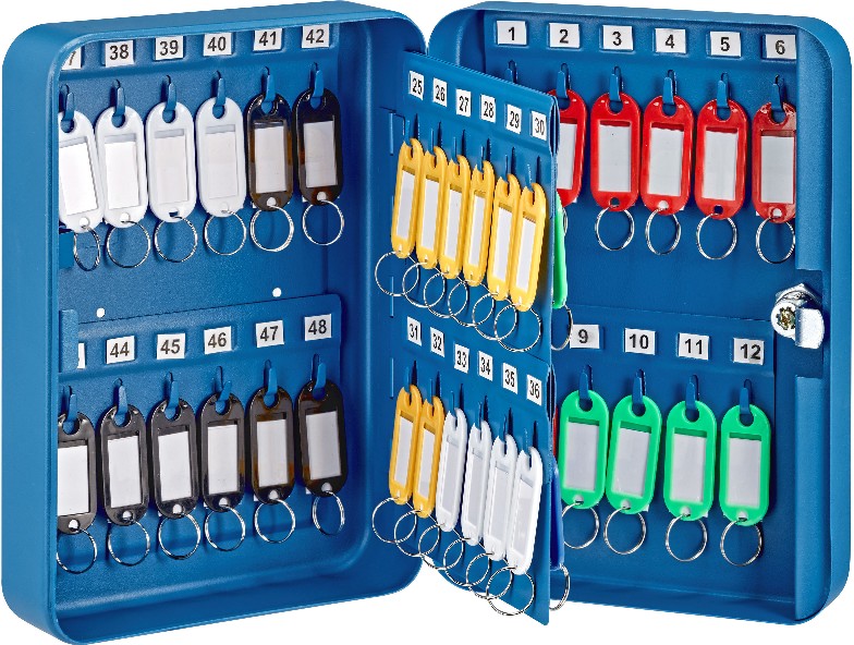 Wall Mount Blue Keyed-entry 48-Key Cabinet