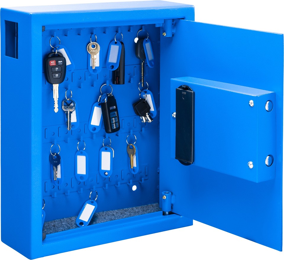 Wall Mount Blue Keyed-entry 40-Key Cabinet