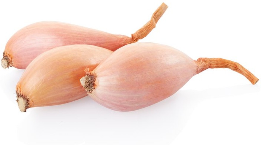 Shallot