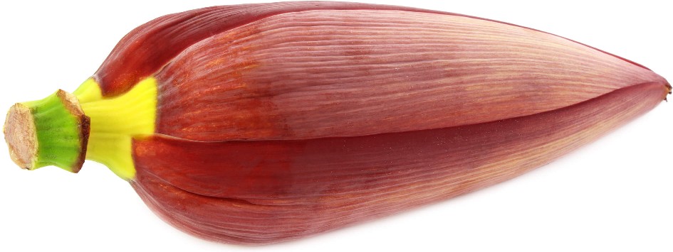 Banana Flower
