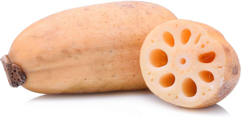 Lotus Root