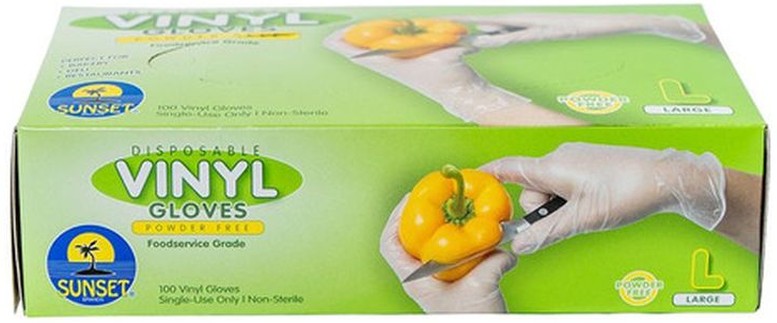 Vinyl Gloves without Powder, Size Large - 100 ct