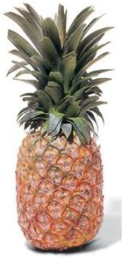 Pineapples - 5-7 count