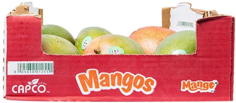 Large Mango - 1 case