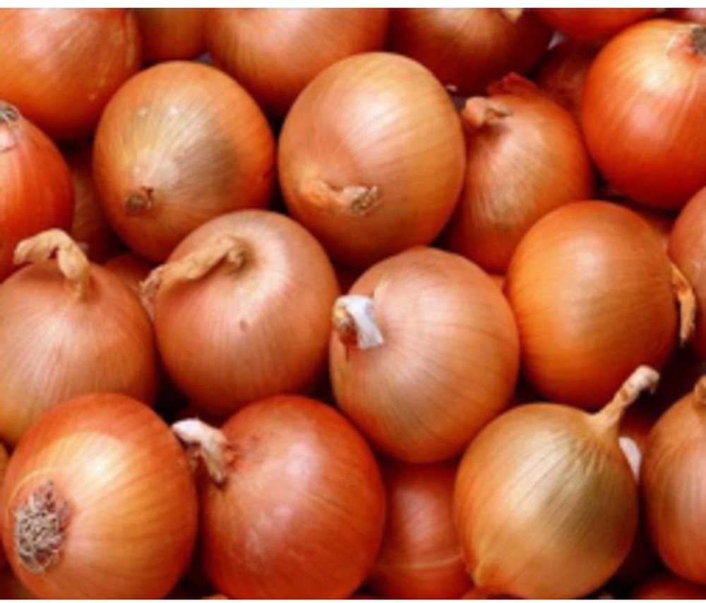 Yellow Onion - 10 lb bag