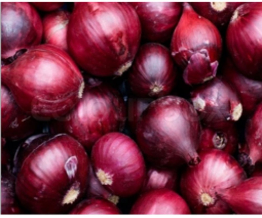 Red Onion - 10 lb bag
