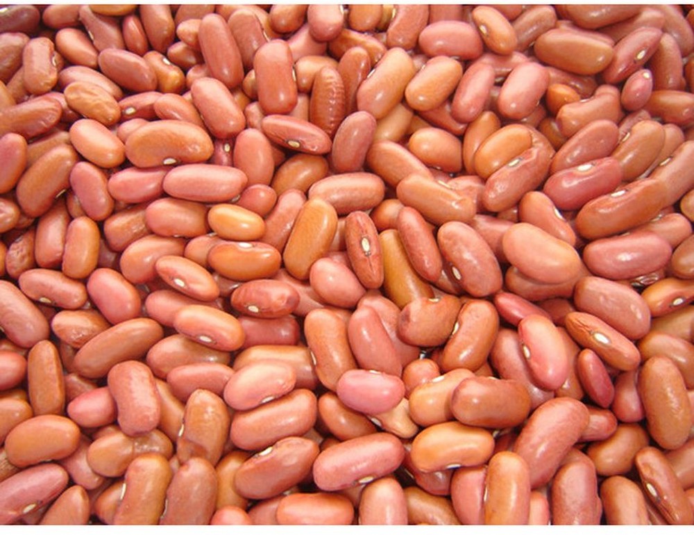 Light Red Kidney Beans - 25 lbs