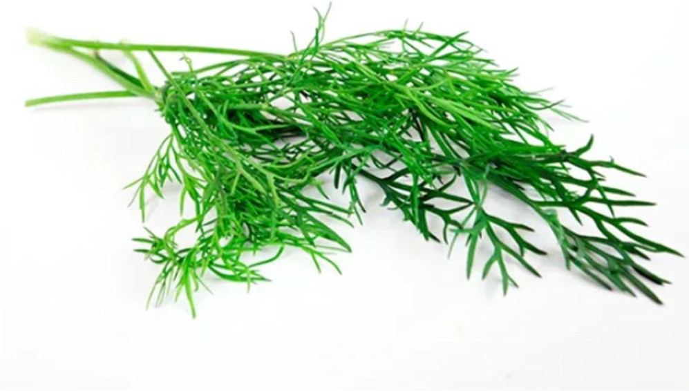 Produce - Dill 4oz
