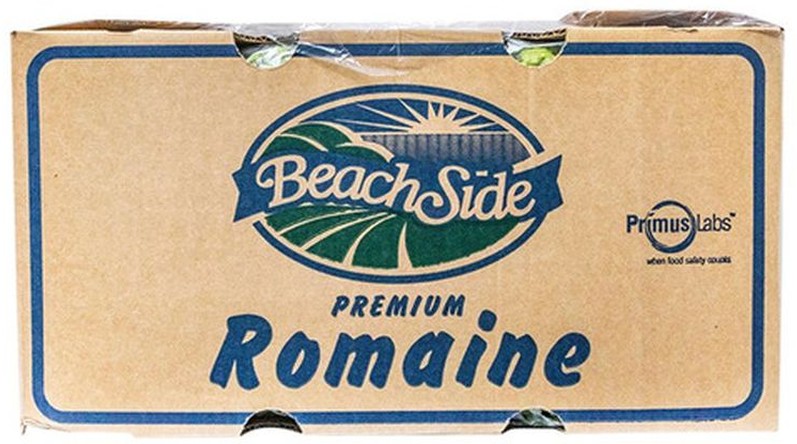 Whole Romaine Lettuce - 24 ct