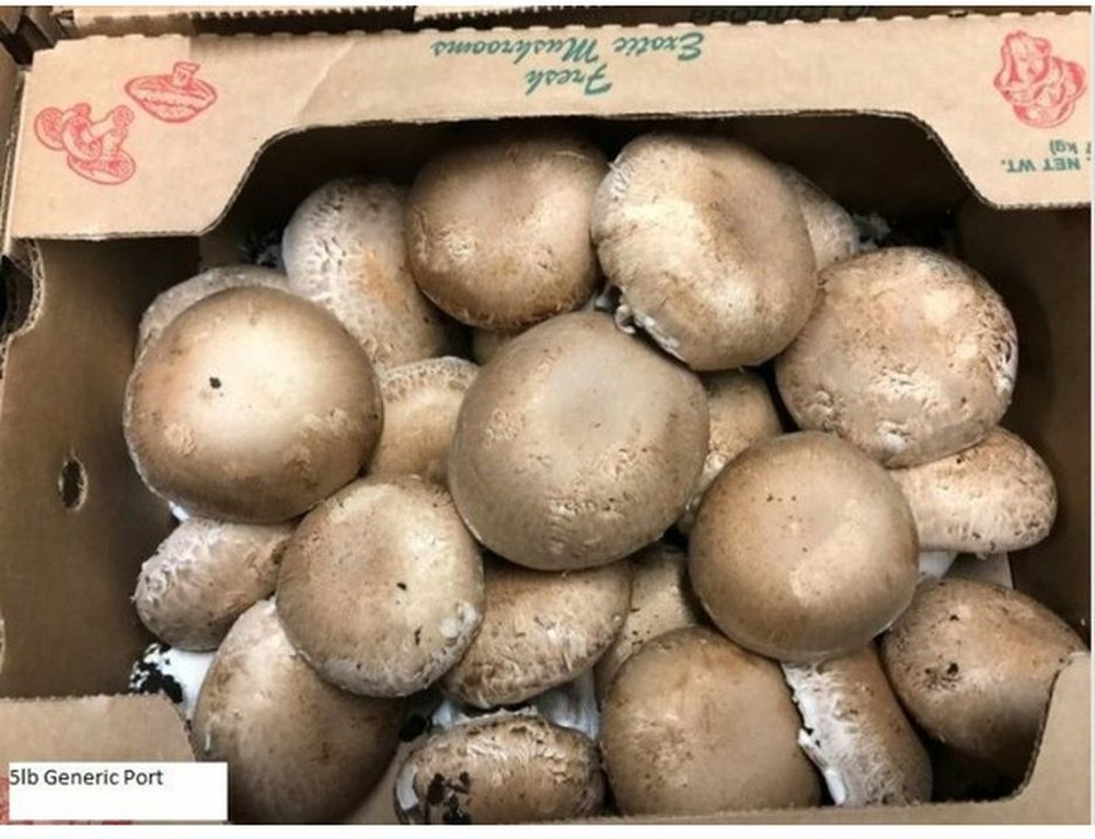 Portabella Mushrooms 5 lbs