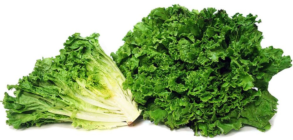Green Leaf Lettuce - 24 ct