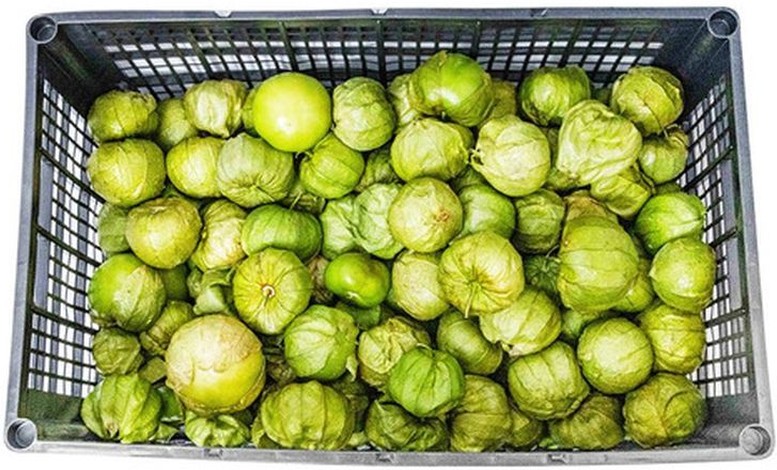 Tomatillos - 5 lbs