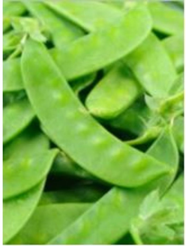 Snow Peas, 10 lb