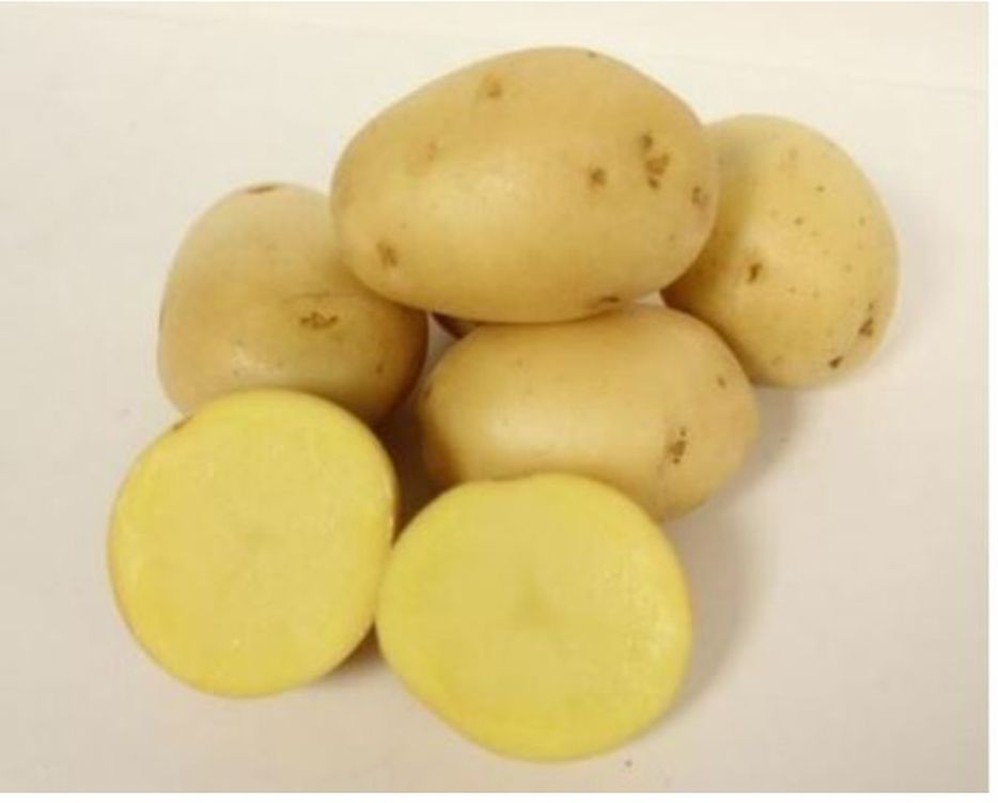 Yukon Gold Potatoes - 10 lbs