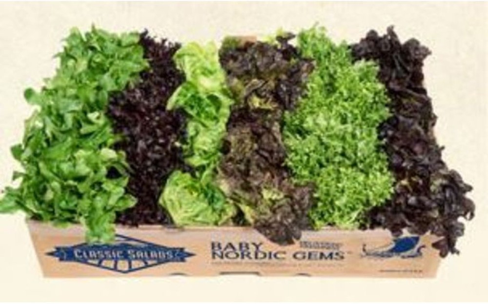 Nordic Blend Salad - 3 lb