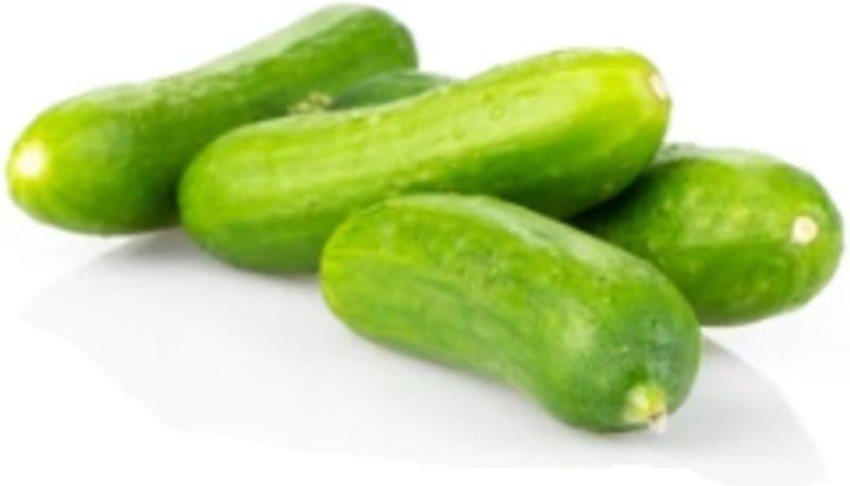 Mini Cucumber - 15ct