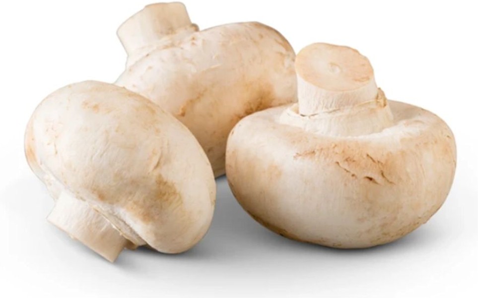 Whole White Mushroom 6-24 Oz