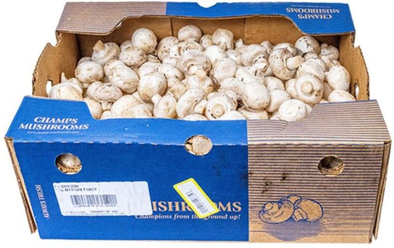 White Medium Mushrooms 10 lbs