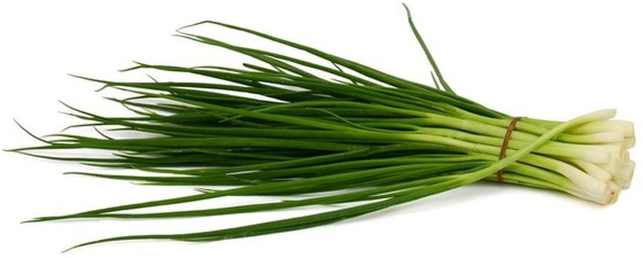 Iceless Green Onions- 4 lb