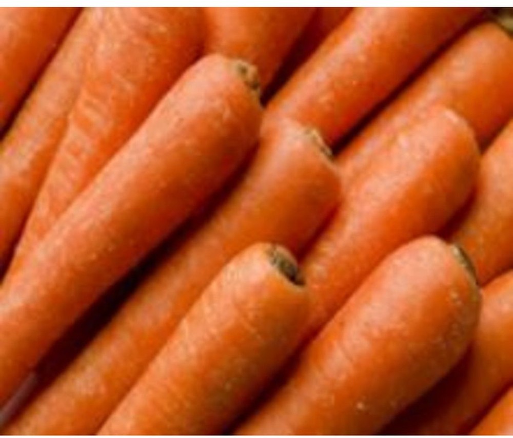 Jumbo Carrots - 25 lbs