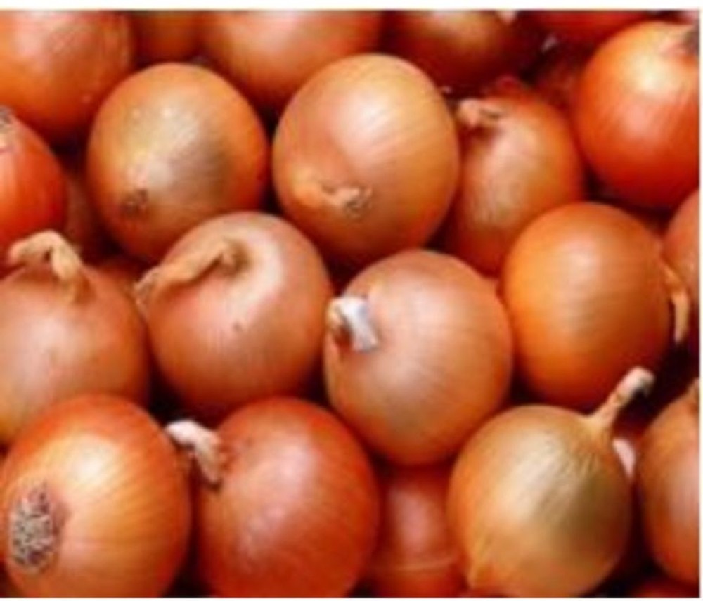 Yellow Onion - 16/3 lb