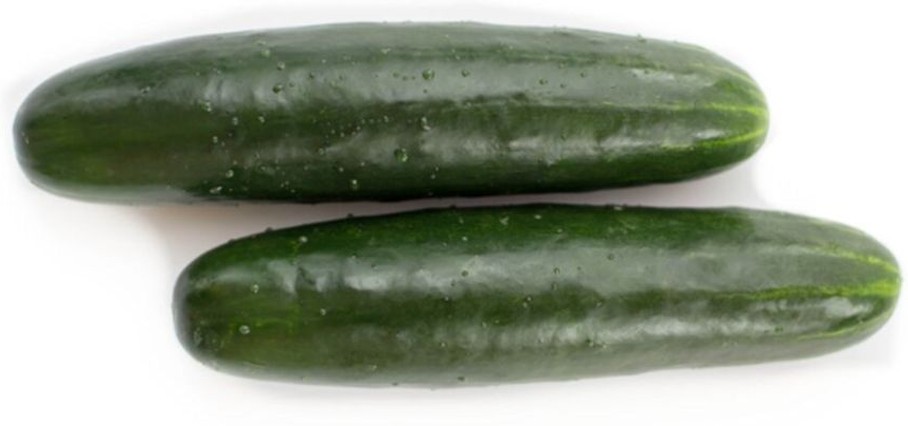 Super Cucumber, 24 ct