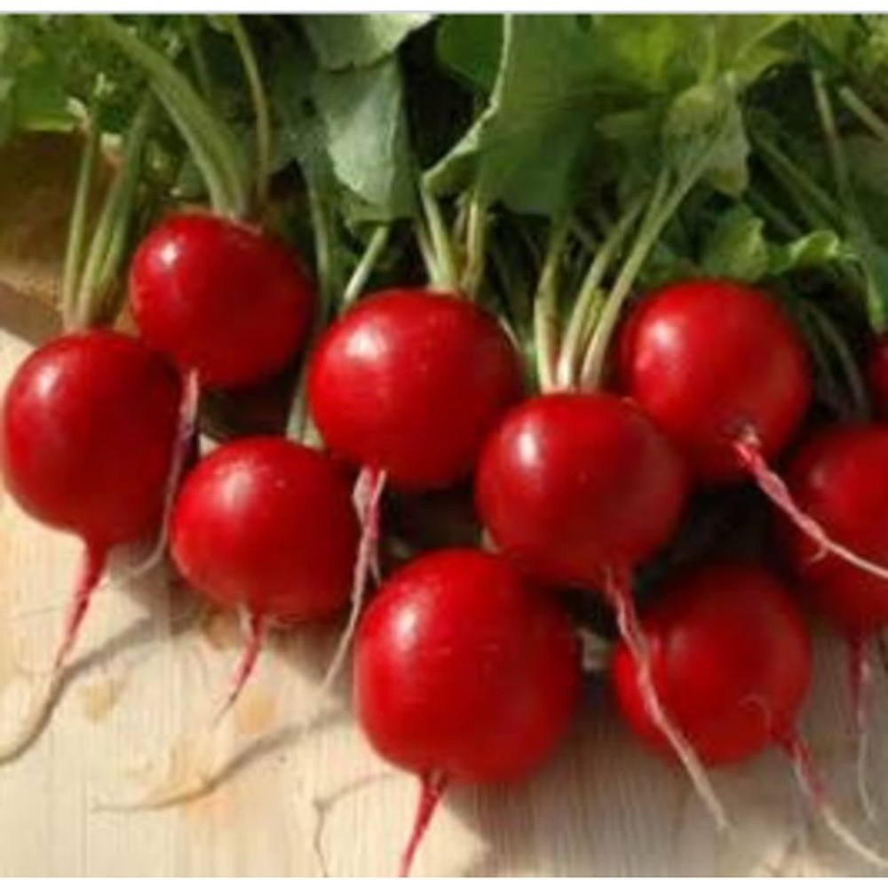 Radish - 6 oz