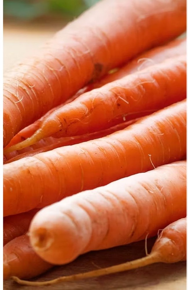 PROD YELLOW CARROT 25LB