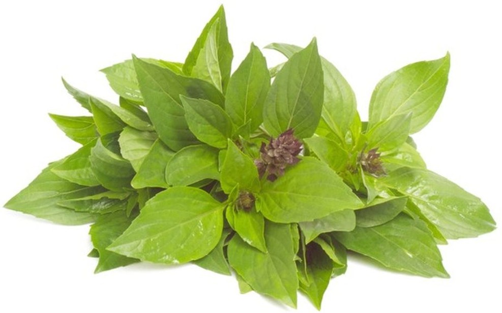 THAI BASIL - 1 LB