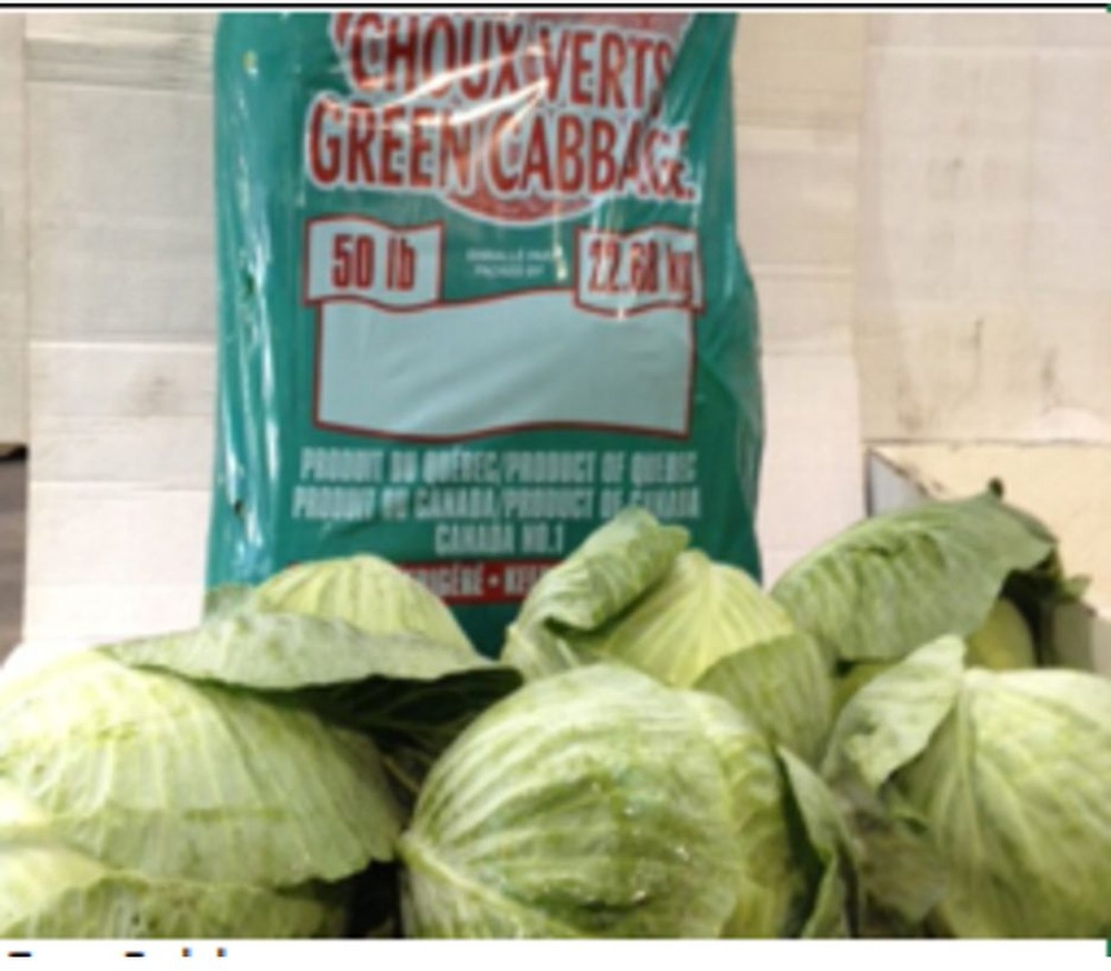 Green Cabbage - 50 lbs